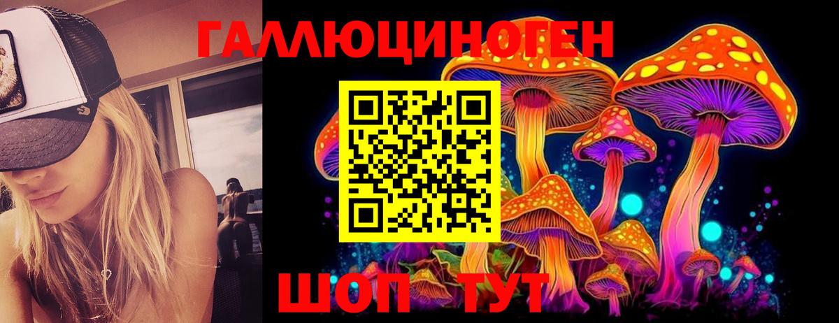 Северск  Галлюциногенные грибы Psilocybine cubensis  Вход с VPN 